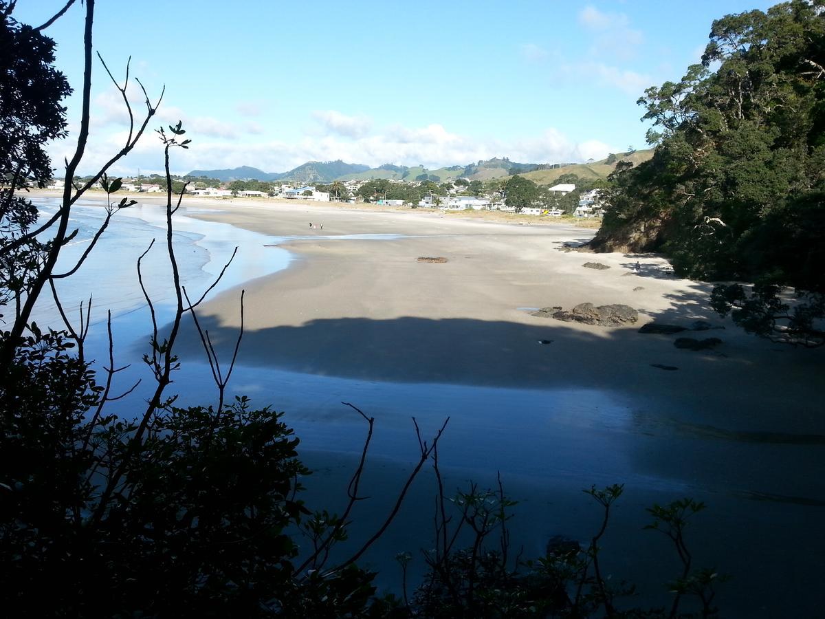 Kotare Ridge Bed and Breakfast Waihi Eksteriør billede